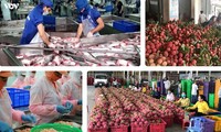 Vietnam’s trade surplus amounts to 10 billion USD by mid-August