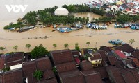 FAO assists smallholder farming households in flood-hit central Vietnam