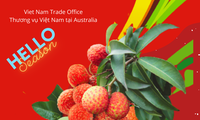 Vietnam to export 100 tonnes of lychees to Australia