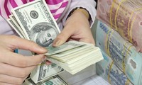 Vietnam, US agree on currency practices