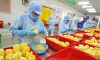 Vietnam eyes global top 10 in agricultural processing