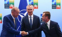 Turkey gives green light to Swedish NATO membership bid