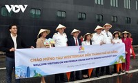 Cruise ship brings over 2,000 foreign tourists to Da Nang