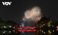 Drones, fireworks light up skies as Vietnam welcomes Year of Dragon