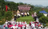 57 ancient Shan tuyet tea trees in Moc Chau recognized as Vietnamese heritage trees