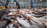 Vietnam becomes   second largest supplier of white fish to US