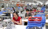 Vietnam's exports to Singapore rise significantly