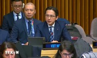 Vietnam strongly committed to UN’s humanitarian relief efforts 