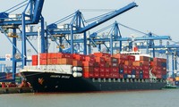 Vietnam's import-export revenue hits record high of nearly 800 billion USD