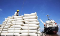 Vietnam's rice exports grow in both volume and value