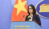 Vietnam protests violations of its sovereignty in Truong Sa 
