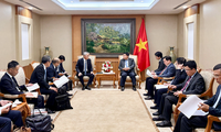 Japan’s Erex urged to expand biomass power investment in Vietnam