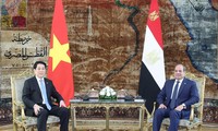 Vietnam, Egypt elevate ties to Comprehensive Partnership 