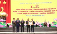 Hanoi officially recognized for completing new rural development