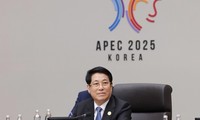 Vietnamese President proposes ways to reinforce APEC economies’ resilience 