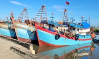 Dong Thap makes significant progress in combating IUU fishing