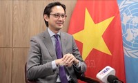 Vietnam continues to affirm role, standing and identity at UN: Ambassador