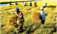 ยกระดับคุณภาพผลิตภัณฑ์การเกษตรของเวียดนาม