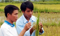 ประสานความร่วมมือระหว่างรัฐ-สถานประกอบการ-เกษตรกรในการสร้างสรรค์ชนบทใหม่