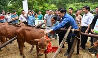 ประธานประเทศมอบของขวัญให้แก่ครอบครัวที่ยากจนในจังหวัดเอียนบ๊าย