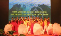 Activities marking Vietnam Cultural Heritage Day