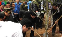 State President calls for forestation efforts