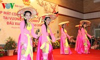 Vietnamese embassy in Cambodia holds new year meeting