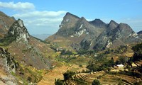 Dong Van stone plateau attracts domestic and foreign visitors