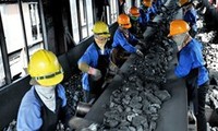 Vietnam supports APEC mining cooperation initiatives