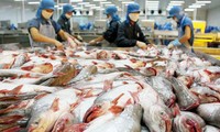 US adjusts import tariffs on Vietnamese Pangasius fish