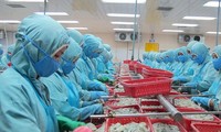 WTO’s ruling on shrimp dumping lawsuit taken by Vietnam against the US