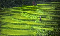 Beautiful Vietnam through American tourist’s lens 