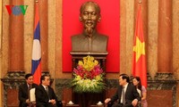 Vietnam, Laos strengthen comprehensive cooperation