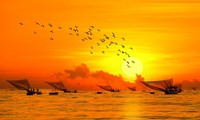 Stunning beauty of Danang city through local photographers