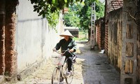 Duong Lam ancient village in autumn