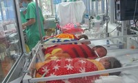 Vietnam responds to surrogacy demand