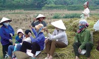 Vietnam to train 5.5 million rural workers by 2020