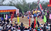 Sinh village wrestling festival