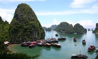 Foreign travel companies survey Vietnam’s tourism potential