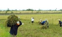 修改土地法律政策，适应当前实际情况