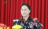 阮氏金银与隆安省选民接触