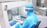 越南连续第55天无新增新冠肺炎社区传播病例