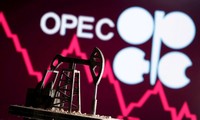 美国敦促OPEC+提高石油产量以支持经济复苏