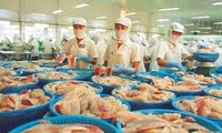 Ziel: Pangasius-Export im Wert von zwei Milliarden US-Dollar in diesem Jahr