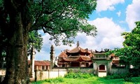 Die Lang Pagode und der ehemals größte Nadelbaumwald in Hanoi