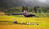 Demokratie bei Neugestaltung ländlicher Räume in Lao Cai