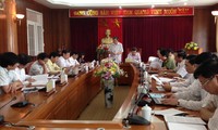 Überprüfung der Umsetzung der Parteibeschlüsse in Vinh Phuc