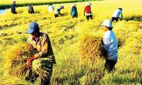 Mehr als 150 Millionen Euro für Ent- und Bewässerung im vietnamesischen Mekong-Delta