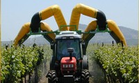 Anwendung der Technologie in der landwirtschaftlichen Produktion in Ho Chi Minh Stadt