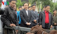 Vizepremierminister Hoang Trung Hai besucht Quang Ngai